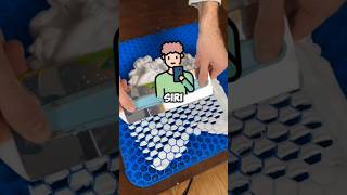 Hey Siri I just lost my job #funny #shorts