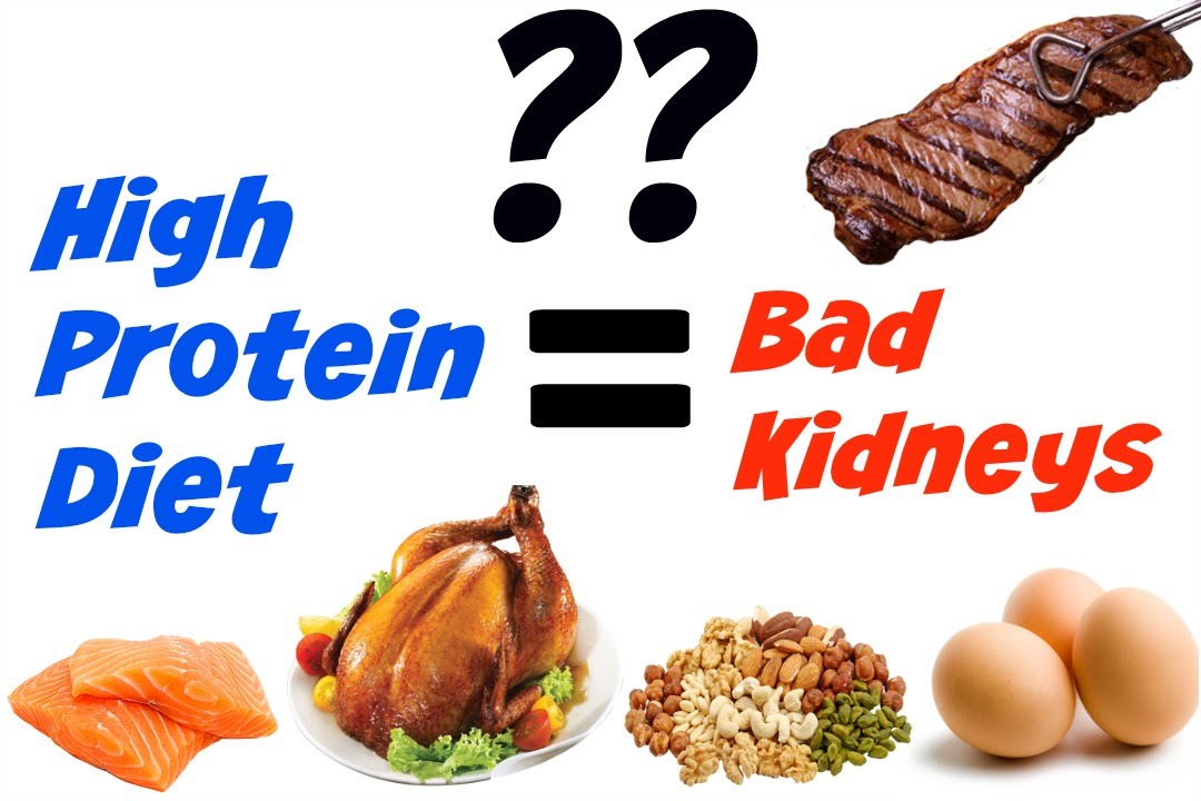 is a high protein diet bad for you