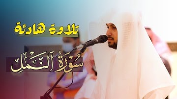 { وَأَنْ أَتْلُوَ الْقُرْآنَ } فجرية خاشعة للقارئ فيصل الهاجري من سورة النمل صلاة الفجر ١٤٤٦/٥/٣هـ.
