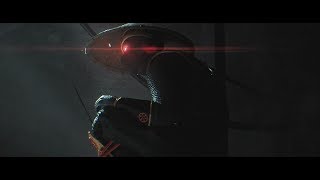 Celebrity “SHINOBI” Code Elektro (teaser) Wealth