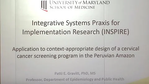 The Integrative Systems Praxis for Implementation Research (INSPIRE) Model