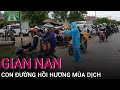 [Trực tiếp] Hồi hương mùa dịch: Đường về nhà sao quá gian nan