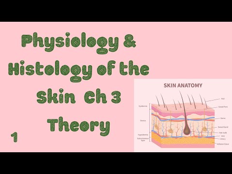 Physiology and Histology of Skin  1