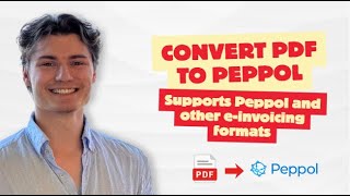 Convert PDF to Peppol or Any E-Invoicing Format #peppoleinvoicing #peppol #belgiumeinvoicing #pdf