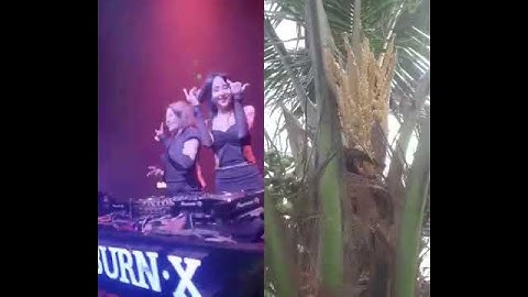 #top10bxh những bản nhạc huyền thoại mà tuổi thơ ai cũng từng nghe #shortvideo #8x9x #music