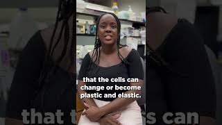 UT Health Science Center Postdoc Cancer Research
