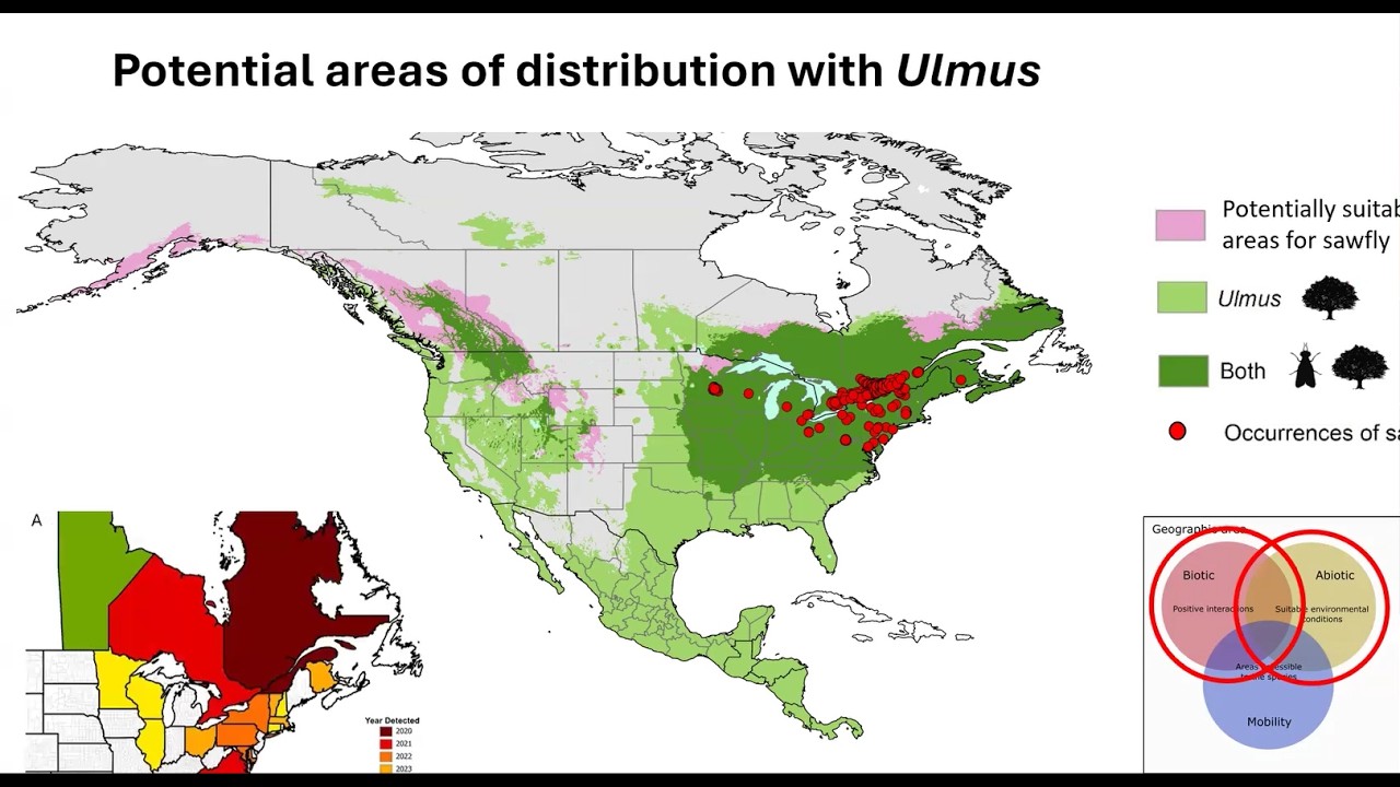 SE RISCC Webinar| Dr. Claudia Nuñez-Penichet | 17 Feb 2026