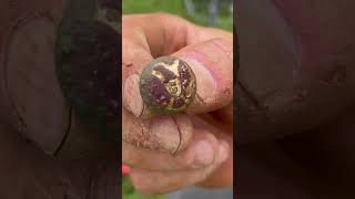 Metal Detecting a Cavalry camp and finding a beautiful Civil War button!!