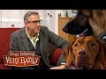 Dogs Who Are Close To Being Re-homed | Dogs Behaving Very Badly