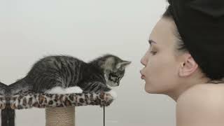 8 Tips to Earn Your Cat's Trust / Cat World Academy by Cat World Academy 38 views 1 month ago 8 minutes, 2 seconds