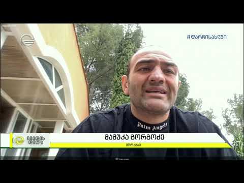 საქართველოს ნაკრების კაპიტანი მამუკა გორგოძე კარიერას ასრულებს