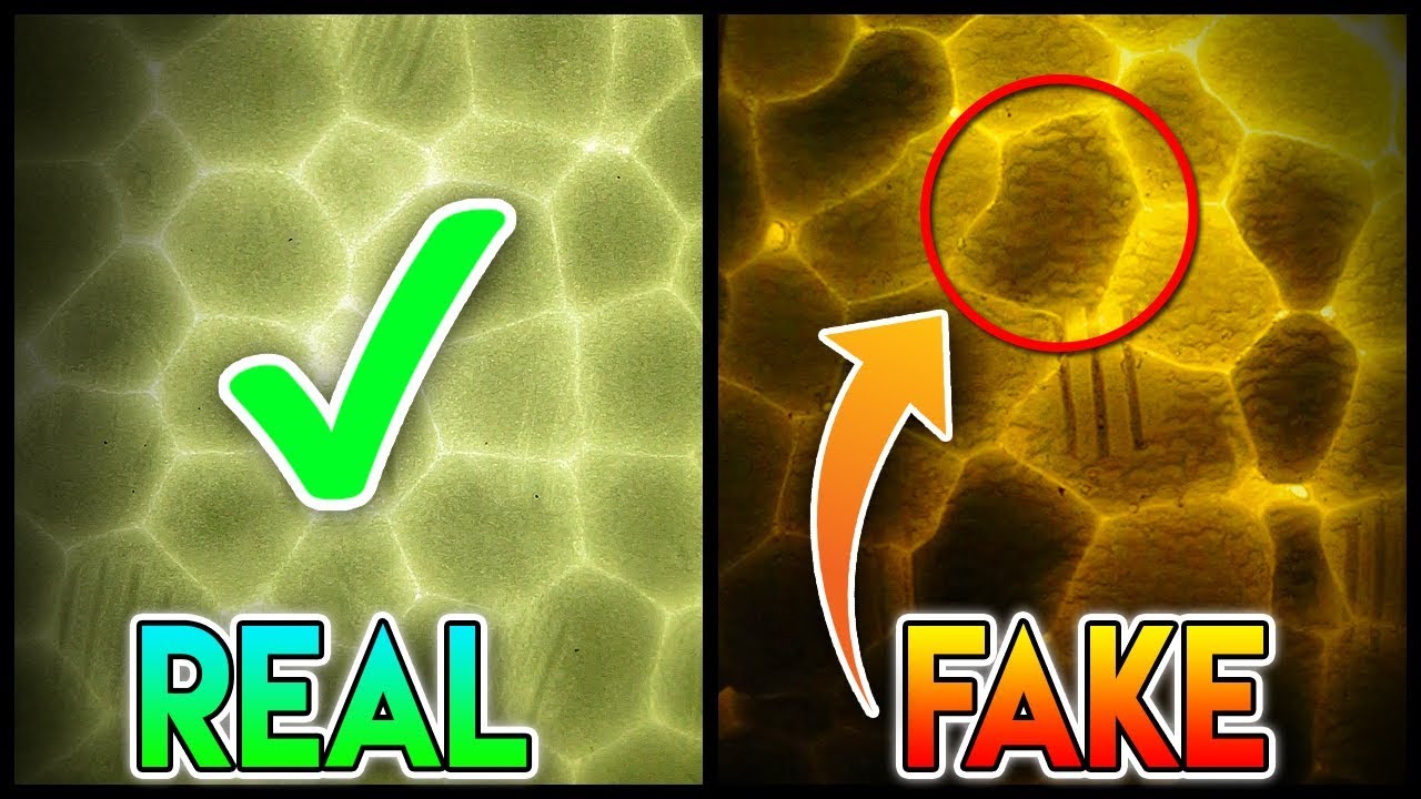 where can i get my yeezys authenticated