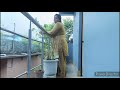 Chores vlog rishankfamilyvlog