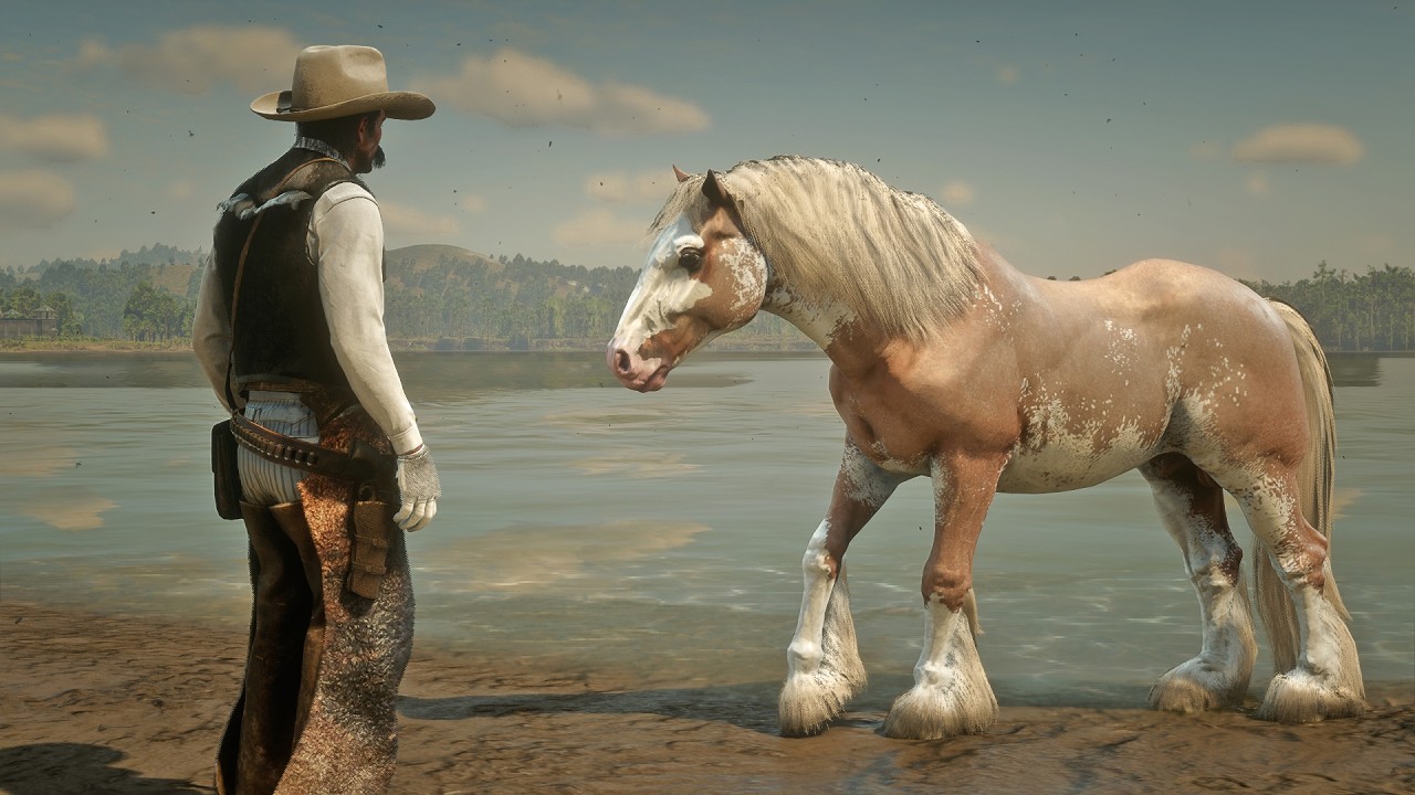 John Marston Tames Beautiful Gypsy Vanner Wild Horse near Saint Denis | RDR2