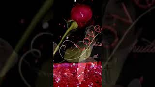 Müslüm Gürses Gülüm