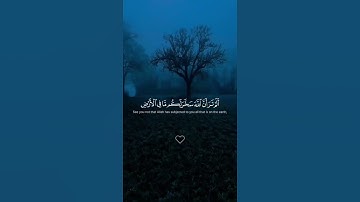الشيخ: ياسر الدوسري سورة الحج