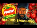 Jason Statham&#39;s The Beekeeper Smashes His Rotten Tomatoes Record