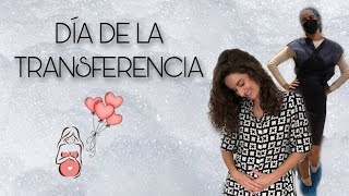 FIV: DÍA DE LA TRANSFERENCIA