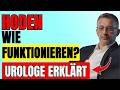 Wie funktionieren deine Hoden – Urologe erklärt Aufbau, Hormone und Spermienproduktion