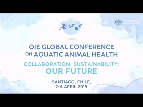 Day 2 - OIE GLOBAL CONFERENCE ON AQUATIC ANIMAL HEALTH