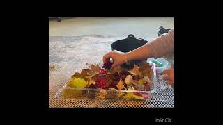 fall sensory bin for kids @funandlearn-wr1ni