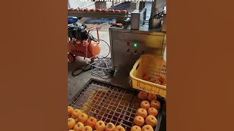 Auto Feeding persimmon knife peeling machine