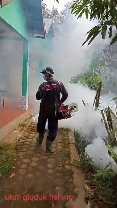 Foging ,, penyemprotan nyamuk demam berdarah
