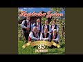 Miniature de la vidéo de la chanson Ich Sag's Dir Mit Musik