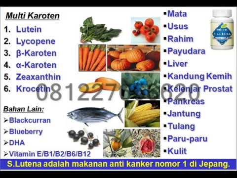 081227666620 Obat Ginjal Alami Herbal Tanpa Cuci Darah 