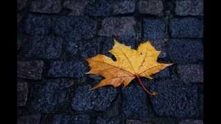 Ercan İçin - Sende Yan