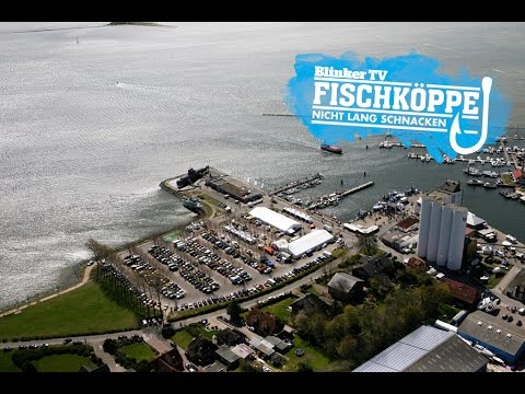 fischköppe