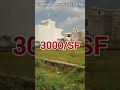 SLP786|Plot in Aprooved Colony Lucknow|Plot in Gated Colony Kursi Road Lucknow|Plot Near Tedhipulia