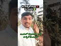 ఈ మొక్క తో జాగ్రత్త ❌