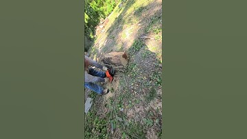 PORTED MACHINED ECHO cs4910 20" FULL COMP FULL CHISEL IN RED OAK