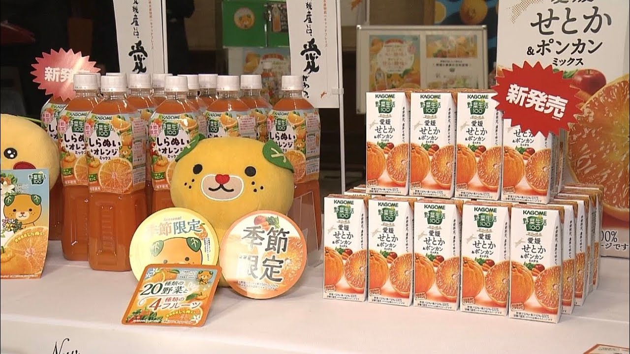 Support Ehime
