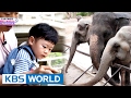 5 siblings' house - Meeting Thailand animals [The Return of Superman / 2017.02.19]