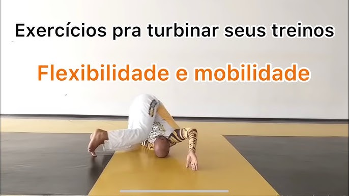 Agachamentos, Um Dos Melhores Exercícios Para Os Praticantes De Jiu Ji –  bjjfanatics-br