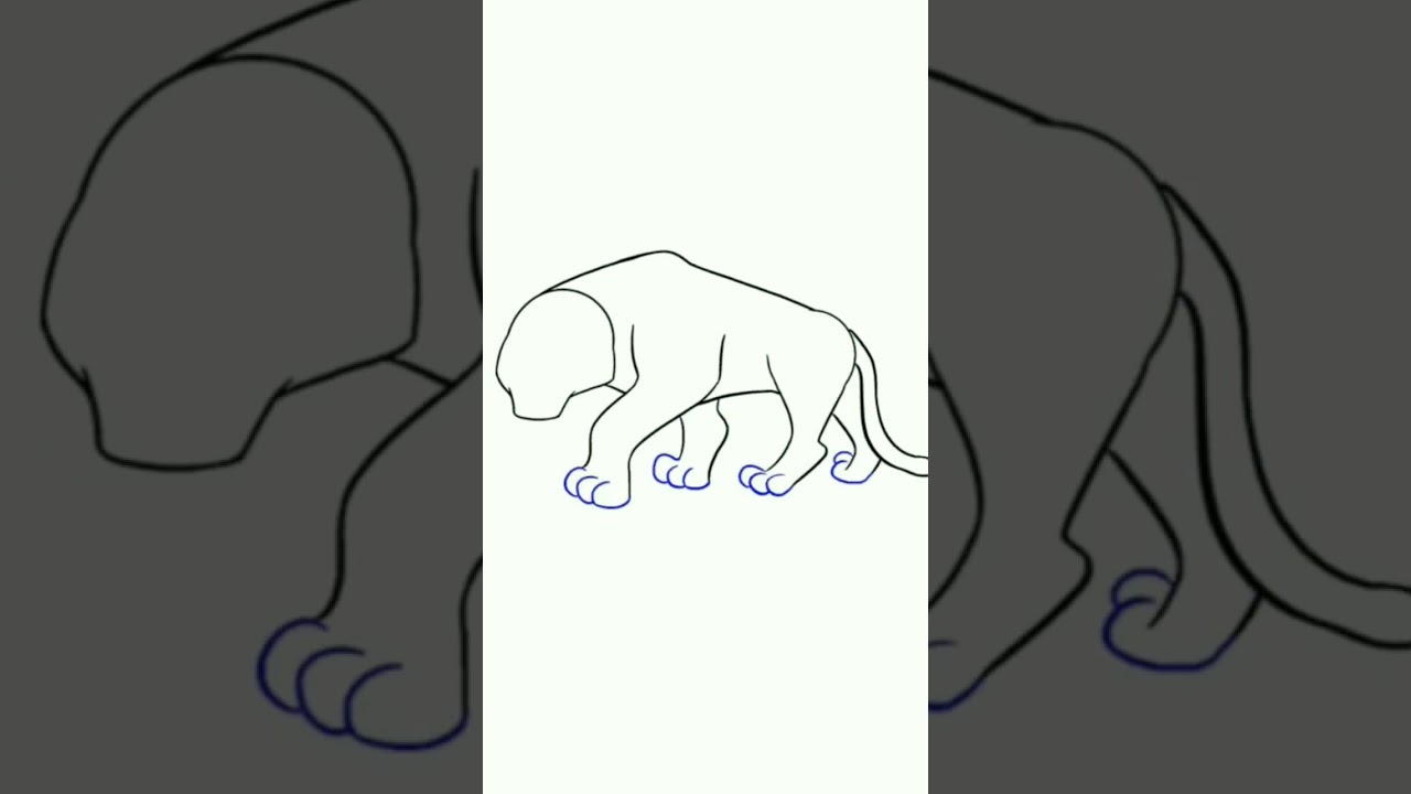 cara menggambar harimau dengan mudah