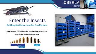 [Enter the Insects: How the black soldier fly can help turn the global protein crisis around]