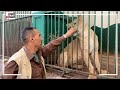 غرام الأسود قصة حب وصداقة بين الحارس و الأسد جوليا 