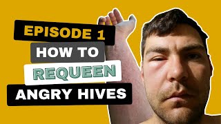 How To Requeen Angry Hives Ep 1