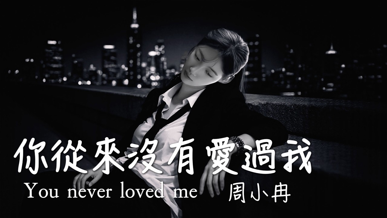 你從來沒有愛過我 (女版) 周小冉 You Never Loved Me/承諾就好像是泡沫 風一吹就輕易戳破/動態歌詞MV・Pinyin Lyrics・Eng.Sub.・日本語訳