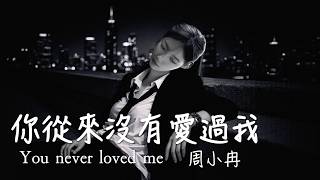 你從來沒有愛過我 (女版) 周小冉 You Never Loved Me/承諾就好像是泡沫 風一吹就輕易戳破/動態歌詞MV・Pinyin Lyrics・Eng.Sub.・日本語訳