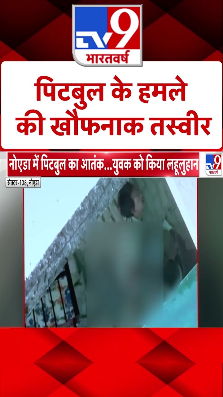 Noida में Pitbull Dog का खौफनाक हमला! #tv9shorts