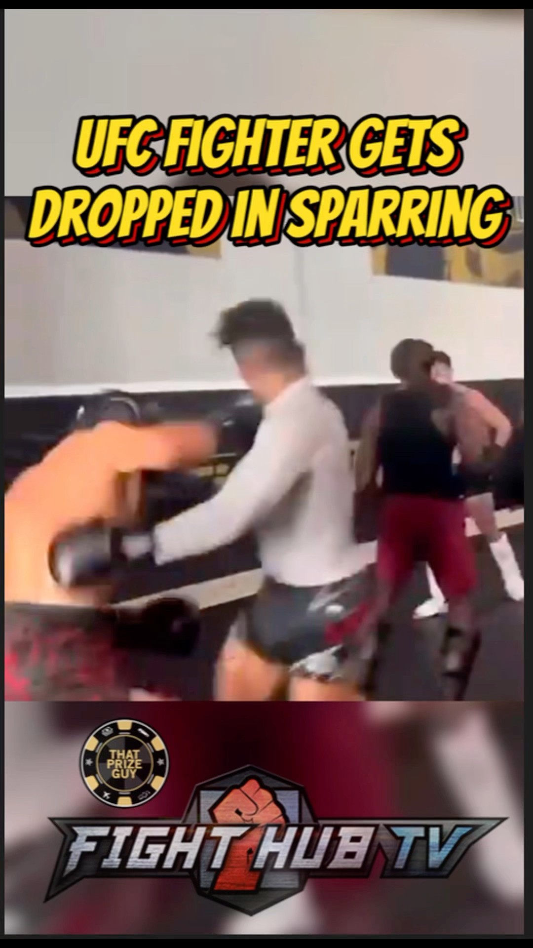 UFC fighter Kevin Lee GETS DROPPED BAD in sparring!