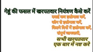 गेहूं में सभी प्रकार के खरपतवार नष्ट कैसे करें, खरपतवार नियंत्रण, गेहूं में खरपतवार नियंत्रण