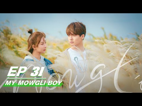 【FULL】My Mowgli Boy EP31 | 我的莫格利男孩 | Ray Ma 马天宇, Andy Yang 杨紫 | iQiyi