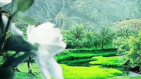 قرآن كريم سورة النحل kuran بصوت جميل جدا جدا