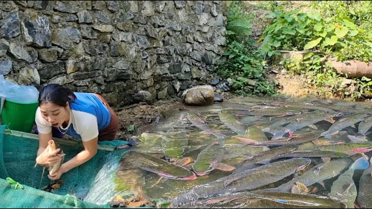 The girl's top fish catching technology, how to catch giant fish with ...