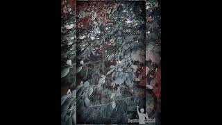 Kirk Yaşindasin Ney Fon(Ney&: İkkenani) © ²⁰²¹